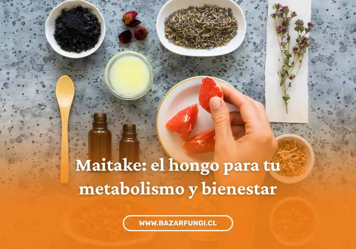 Maitake y metabolismo: control de peso y energía