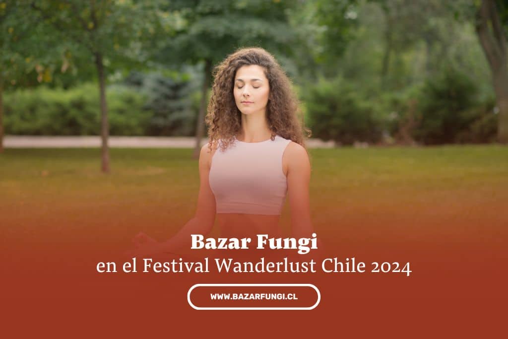 Reino Fungi en Wanderlust Chile 2024