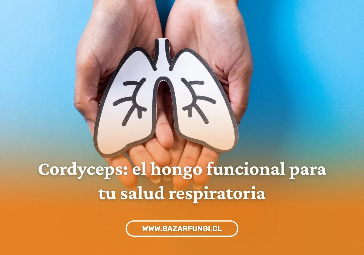 Hongos para salud respiratoria: cordyceps para tus defensas