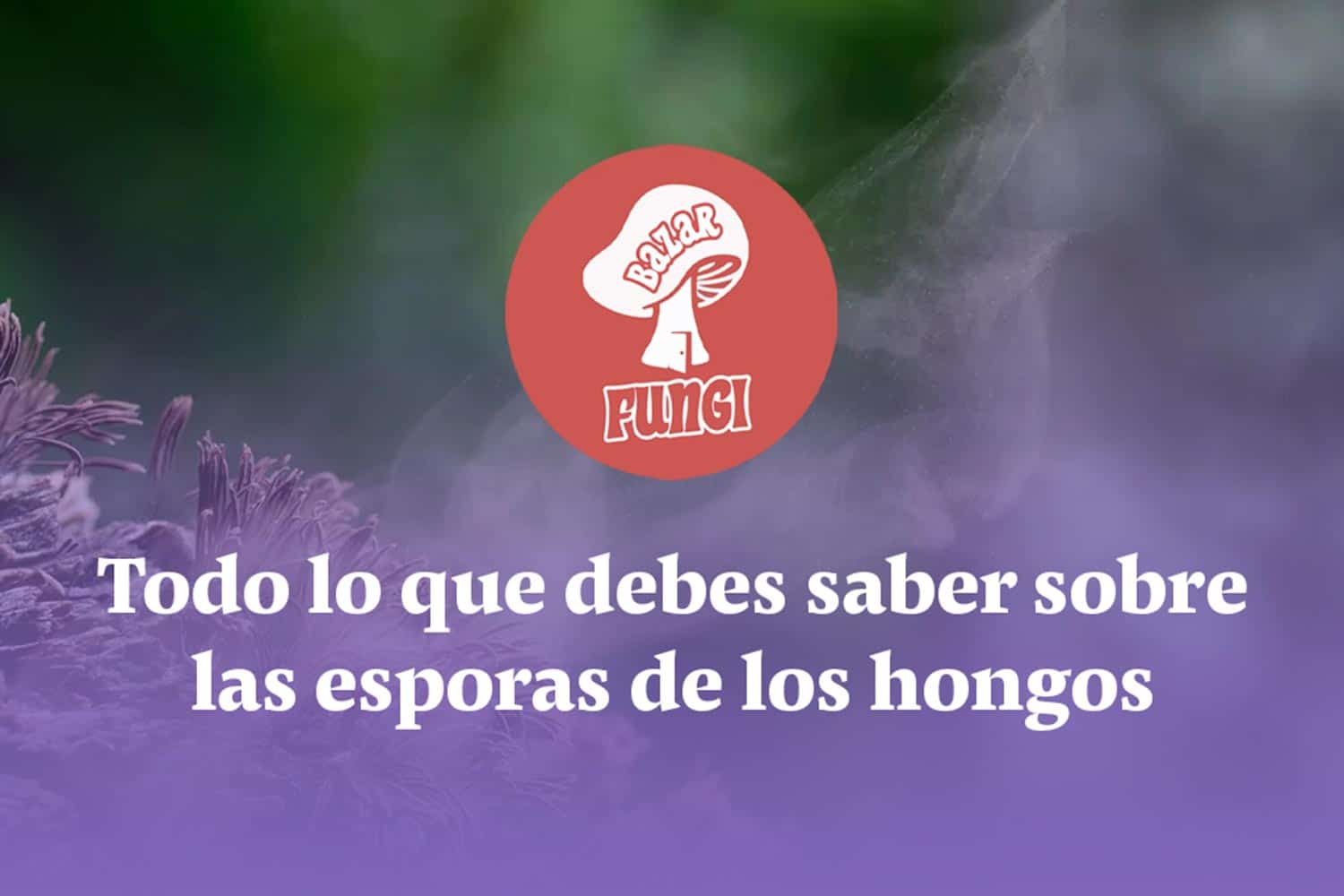 Curiosidades y datos sobre las esporas de hongos