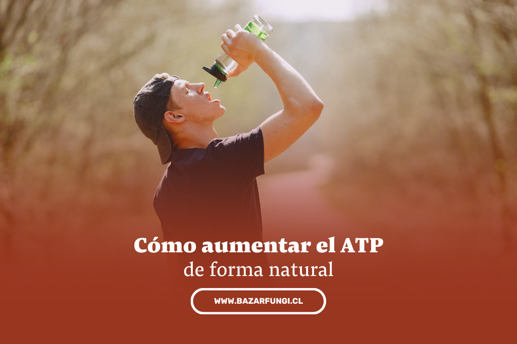 Cómo aumentar el ATP en el cuerpo de forma natural