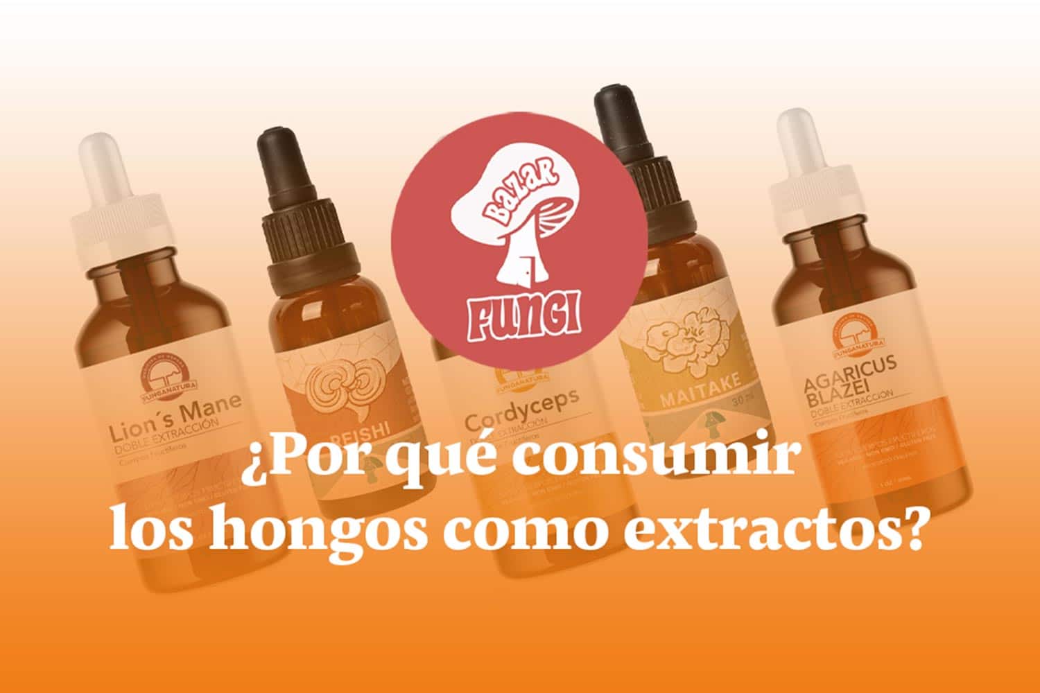 ¿Por qué consumir hongos como extractos?