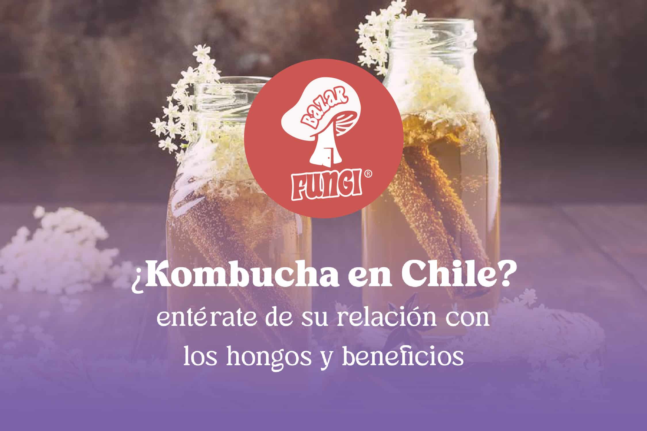 Kombucha en Chile: qué es, para qué sirve y beneficios de esta bebida fermentada