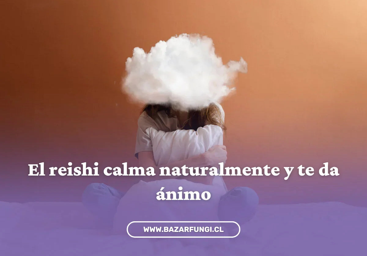 Reishi para la ansiedad y ánimo: el hongo natural que te ayuda