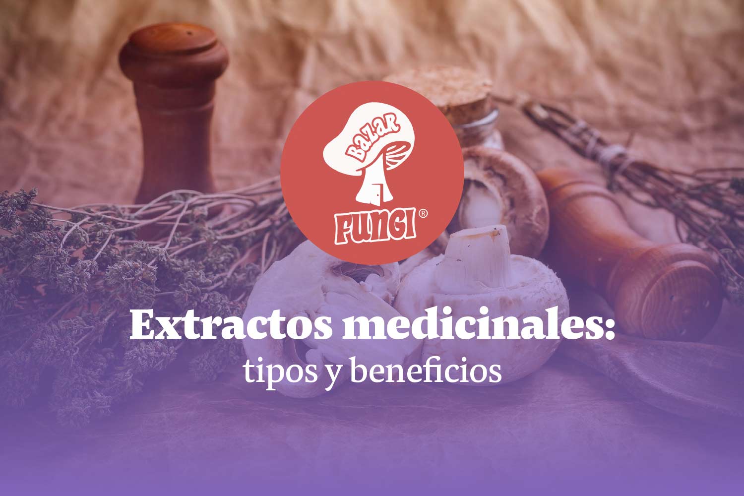 Extractos medicinales: encuéntralos en Bazar Fungi