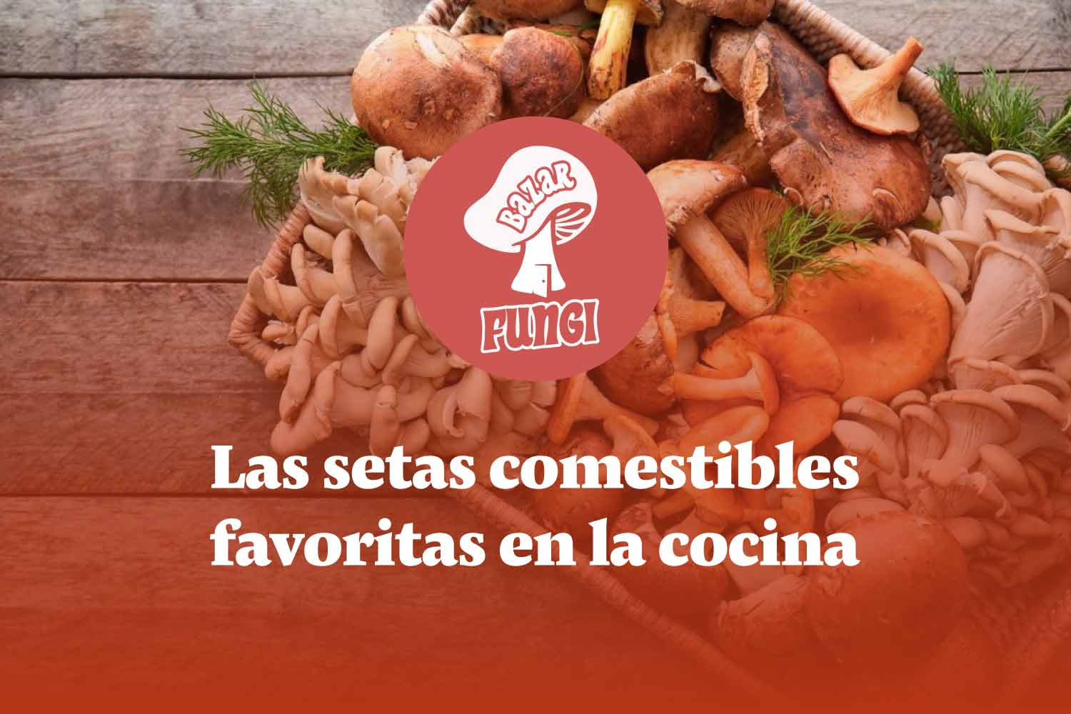 Las setas comestibles favoritas en la cocina