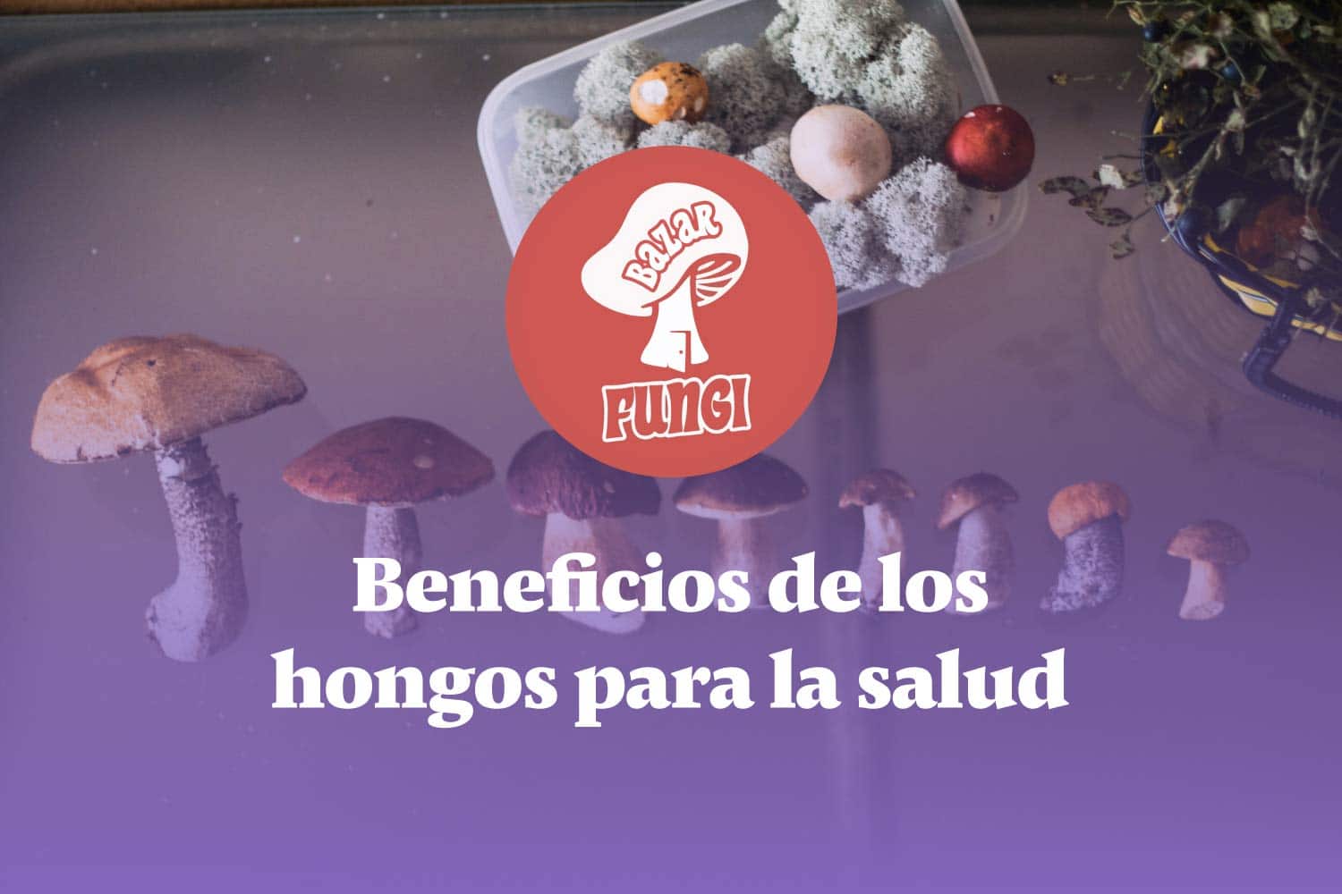 Ejemplos y beneficios de los hongos para la salud