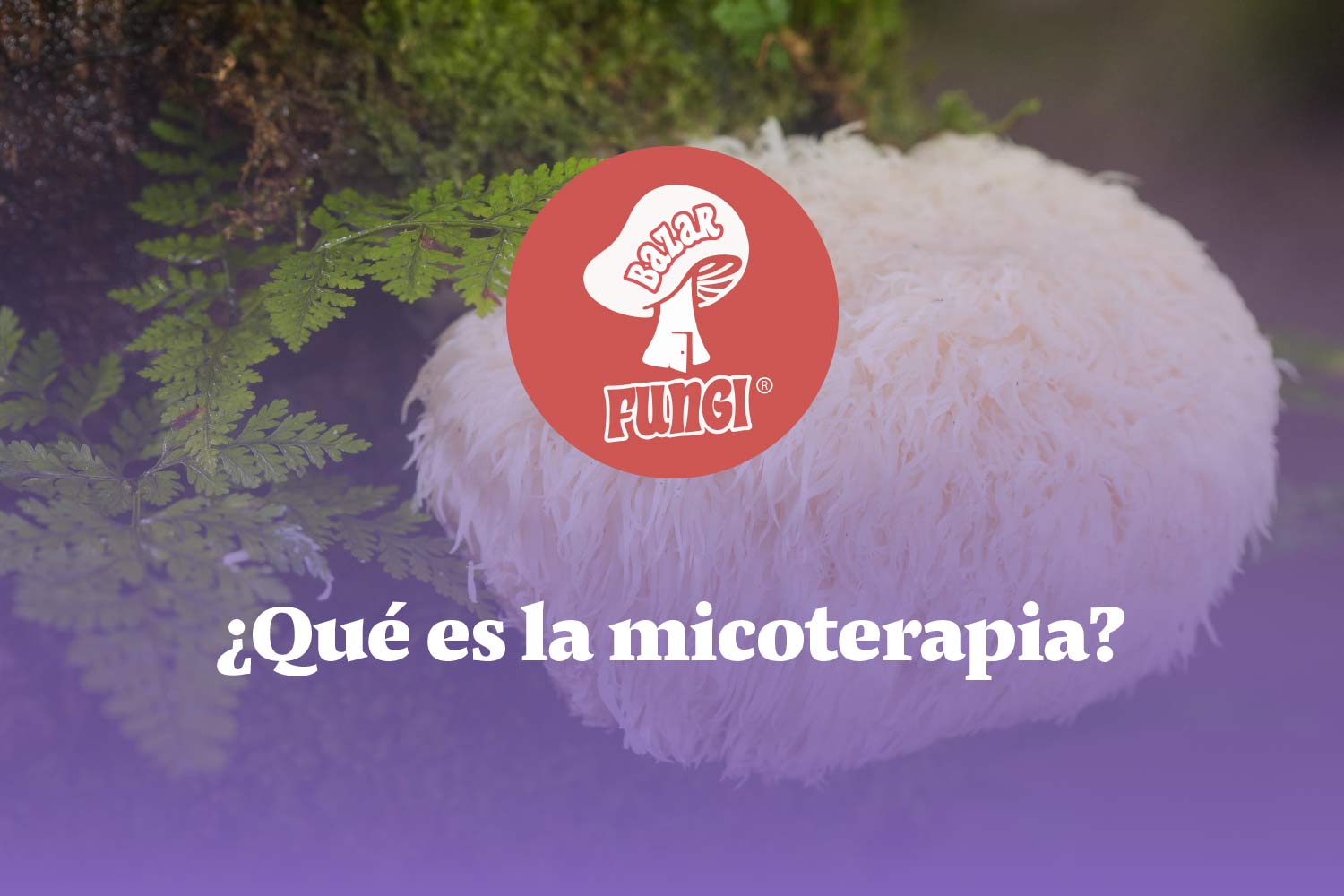 Micoterapia: medicina alternativa desde el mundo de los hongos
