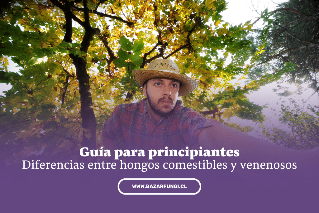 Diferencias entre hongos comestibles y venenosos