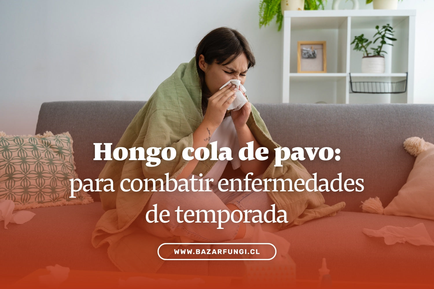 Combate enfermedades de temporada con hongo cola de pavo