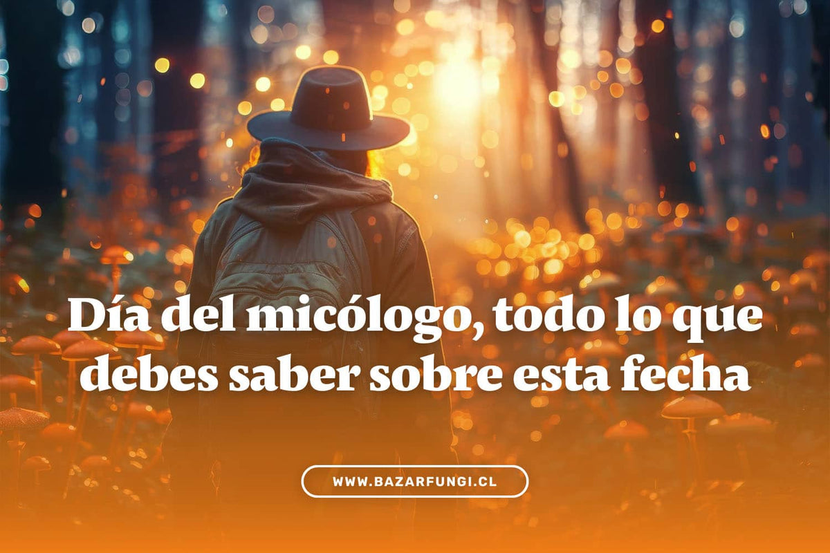 Día del Micólogo, qué es y todo lo que debes saber