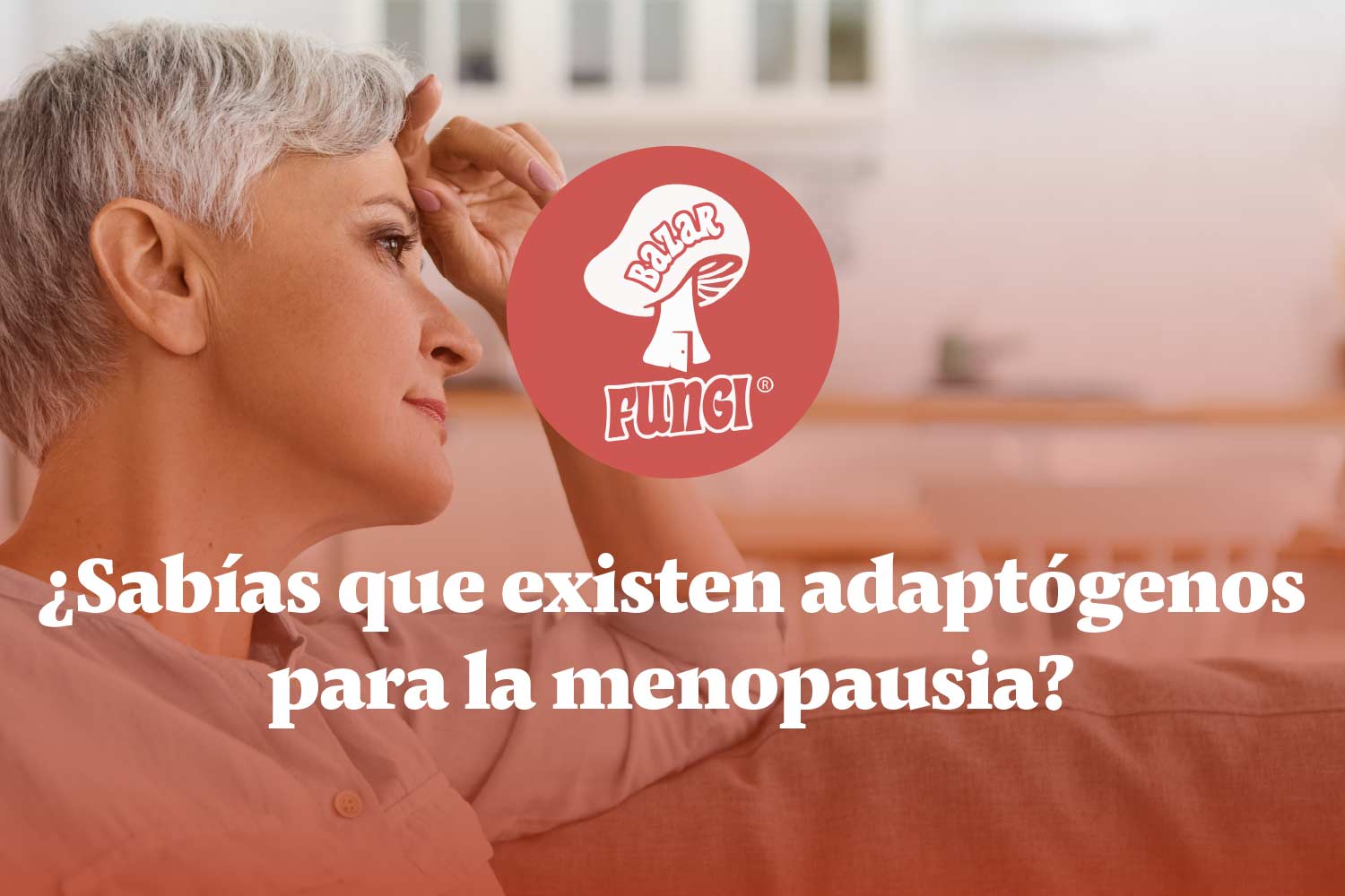 Hongos adaptógenos para la menopausia