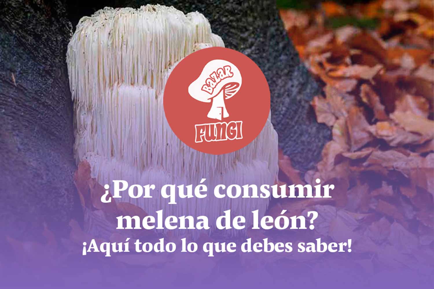 ¿Sabes por qué consumir melena de león? ¡Descúbrelo aquí!