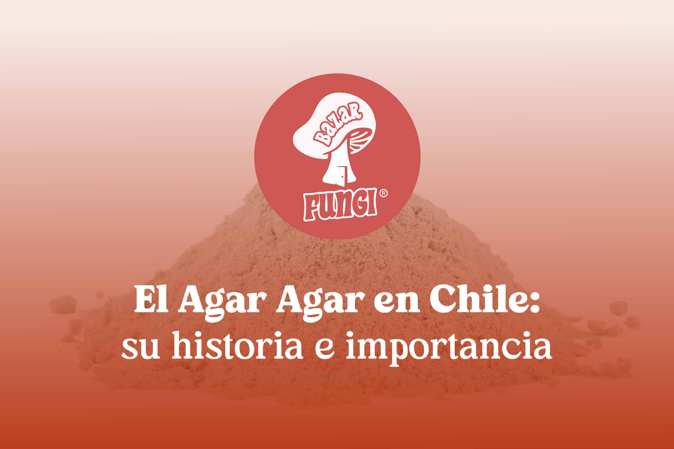 El Agar Agar en Chile: su historia e importancia