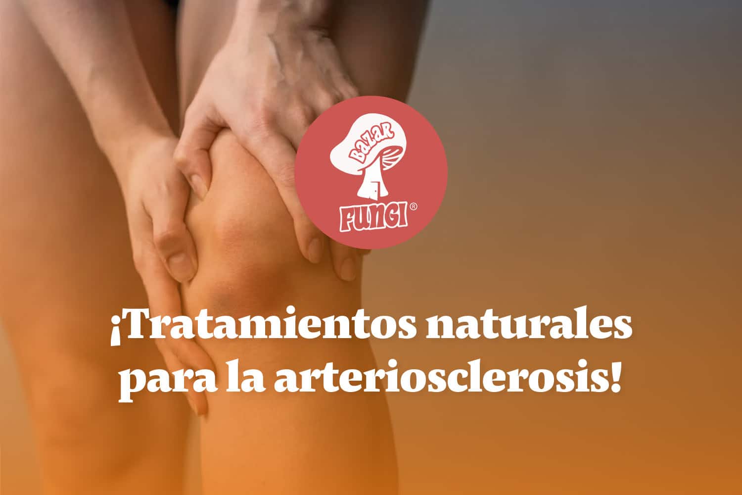 ¿Qué es arteriosclerosis y cómo ayudan los hongos adaptógenos?