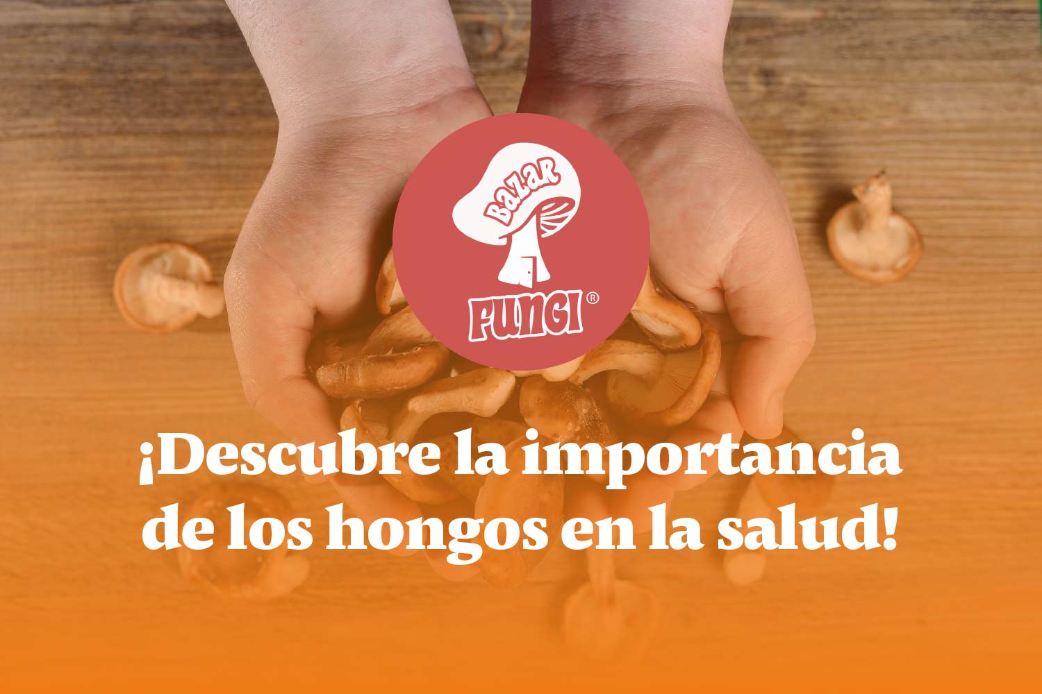 Importancia de los hongos adaptógenos en la salud