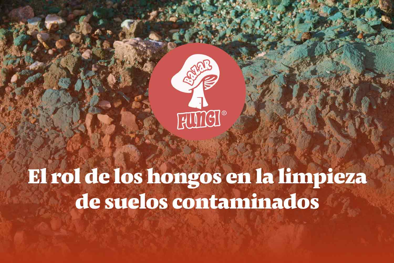 Limpieza de suelos contaminados: descubre el poder de lo hongos