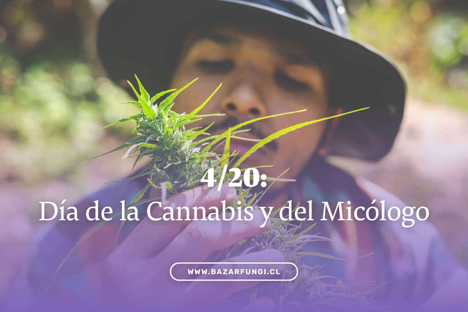 ¿Qué es el 4/20?: Día de la Cannabis y del Micólogo