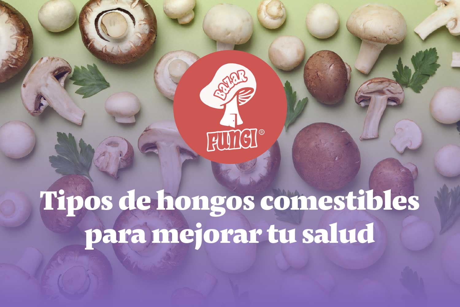 ¡Tipos de hongos comestibles para mejorar tu salud!