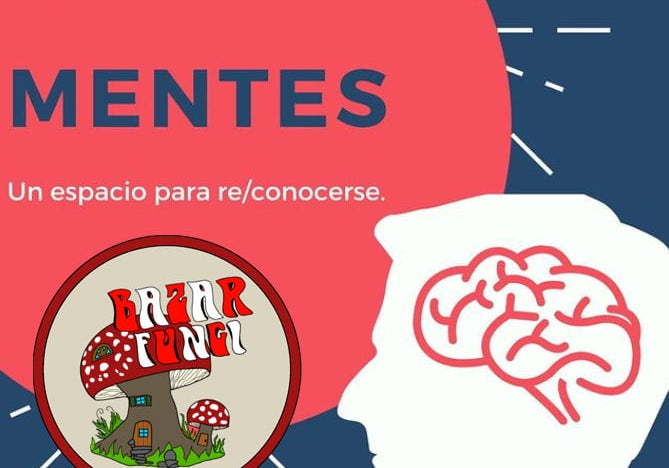 5 mitos sobre hongos adaptógenos que debes dejar atrás