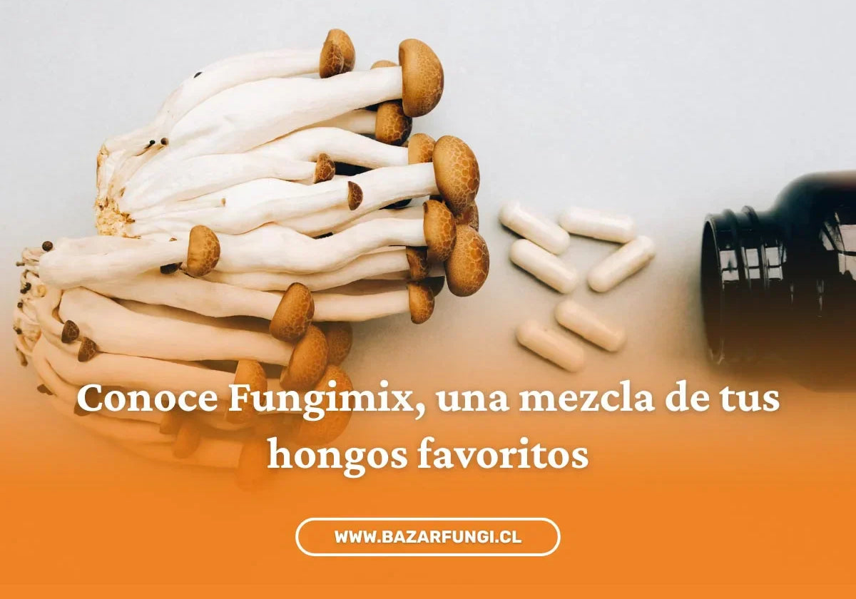 Suplementos de hongos combinados: ¿mezcla o un solo hongo?