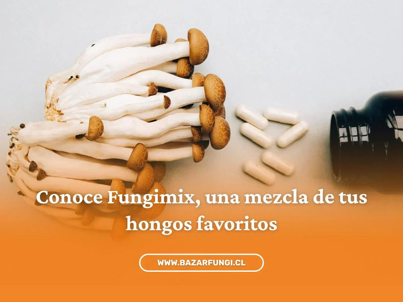 Suplementos de hongos combinados: ¿mezcla o un solo hongo?