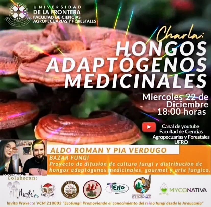 Charla con Eco Fungi: Hongos Adaptógenos Medicinales