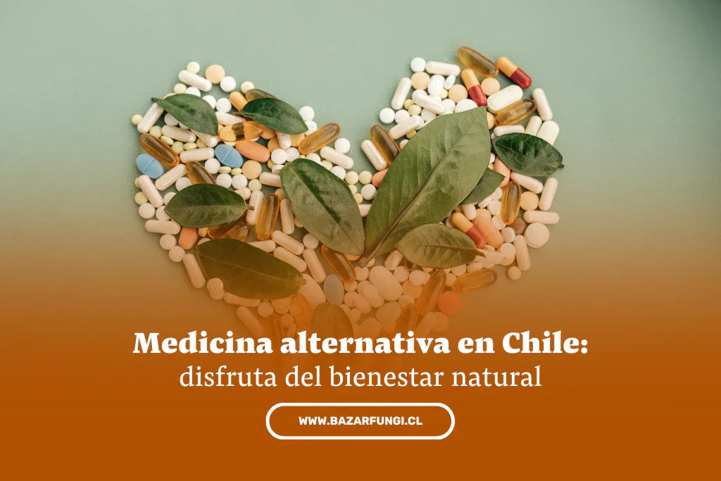 Medicina alternativa en Chile: un camino hacia el bienestar natural