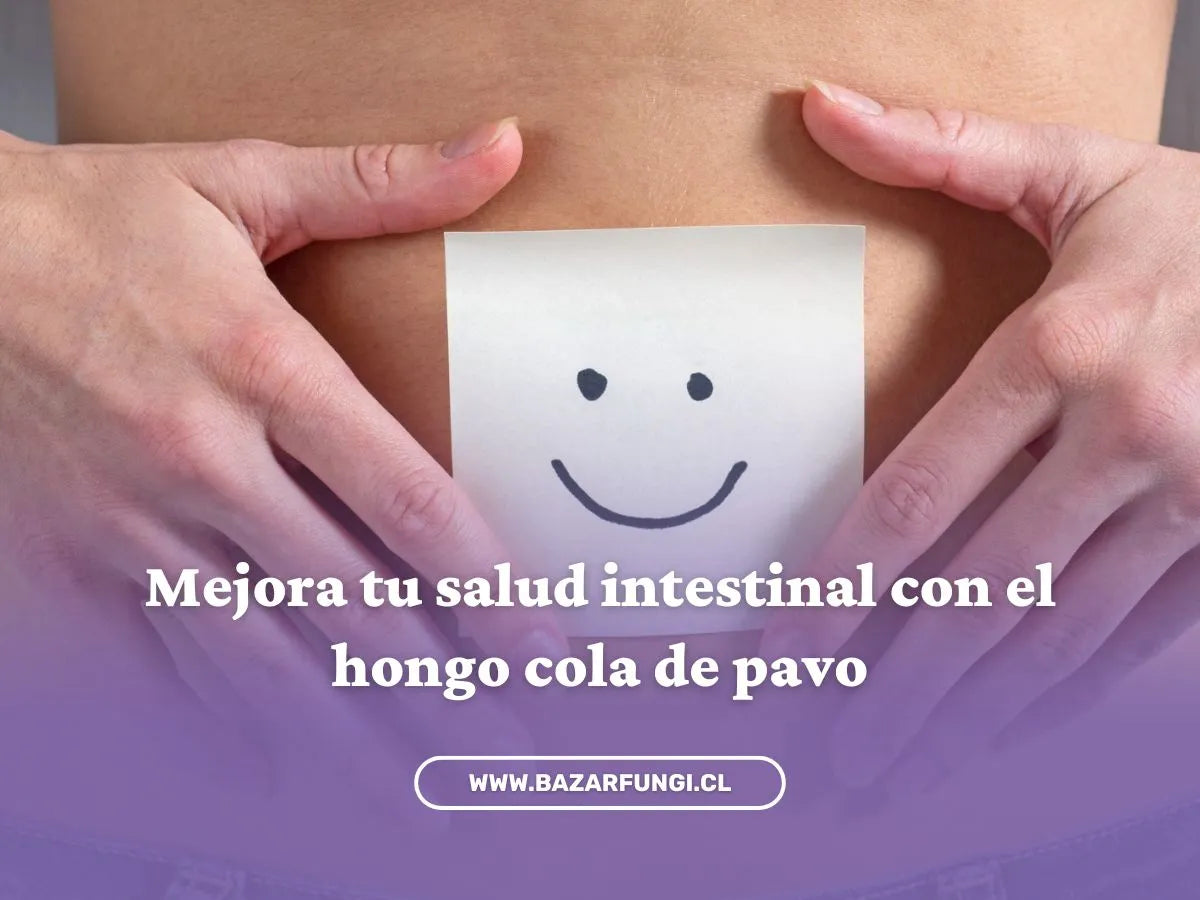 Cómo mejorar la salud intestinal con el hongo cola de pavo
