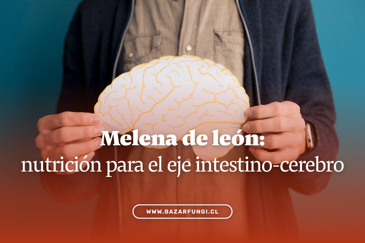 Hongo melena de león: nutrición para el eje intestino-cerebro
