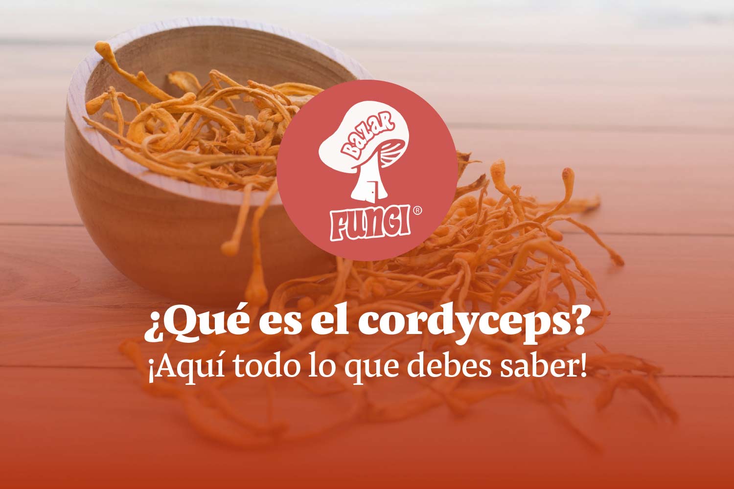 Todo lo que necesitas saber sobre el Cordyceps y sus beneficios
