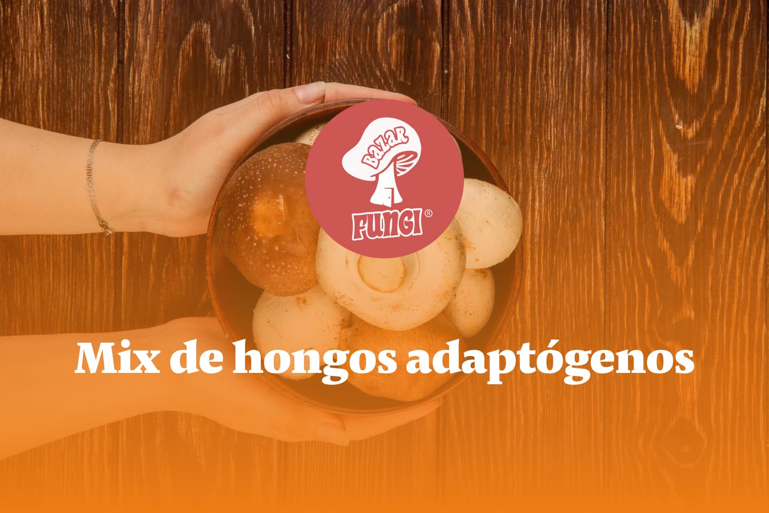 Mix de hongos adaptógenos: beneficios y ejemplos