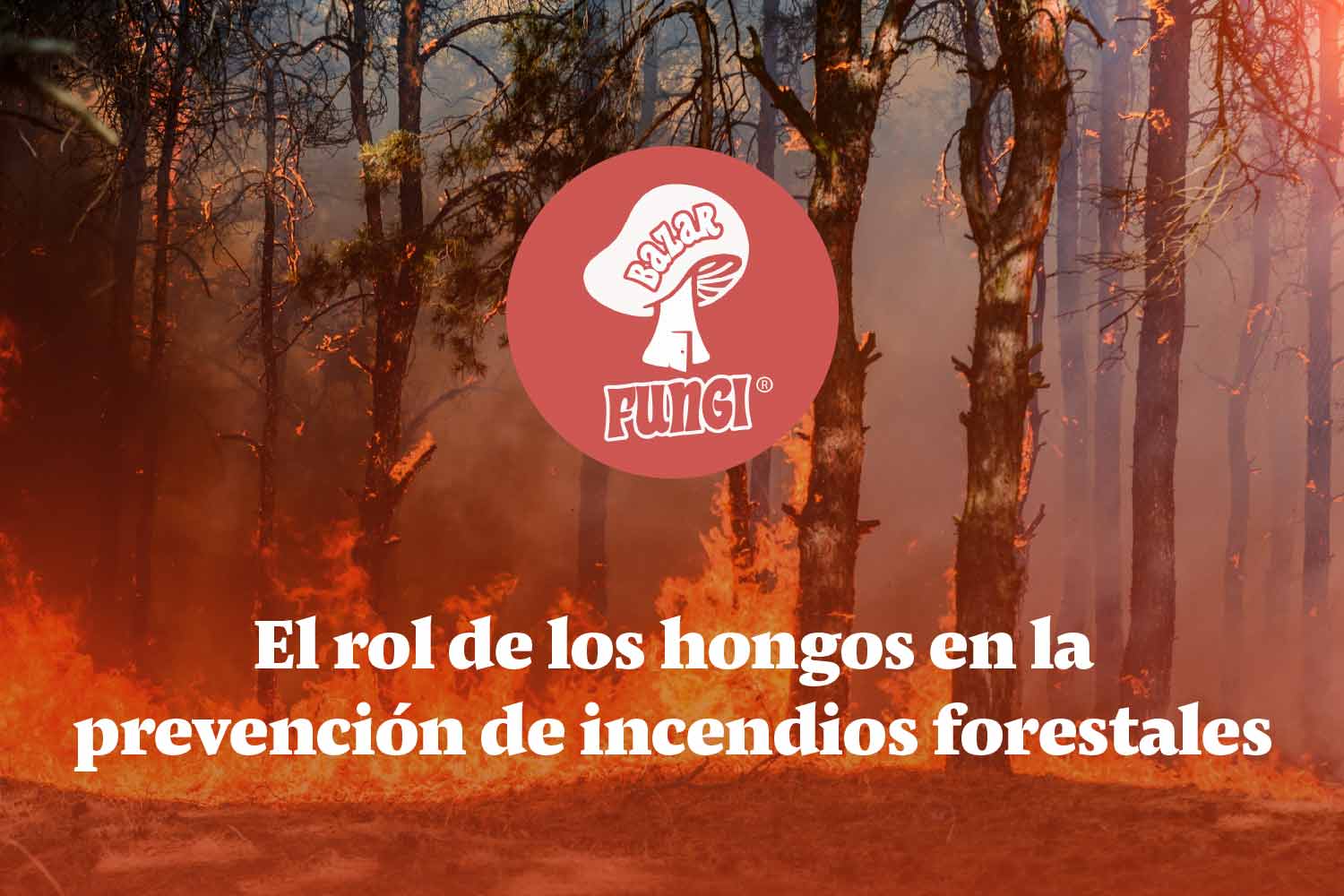 Los hongos y la prevención de incendios forestales