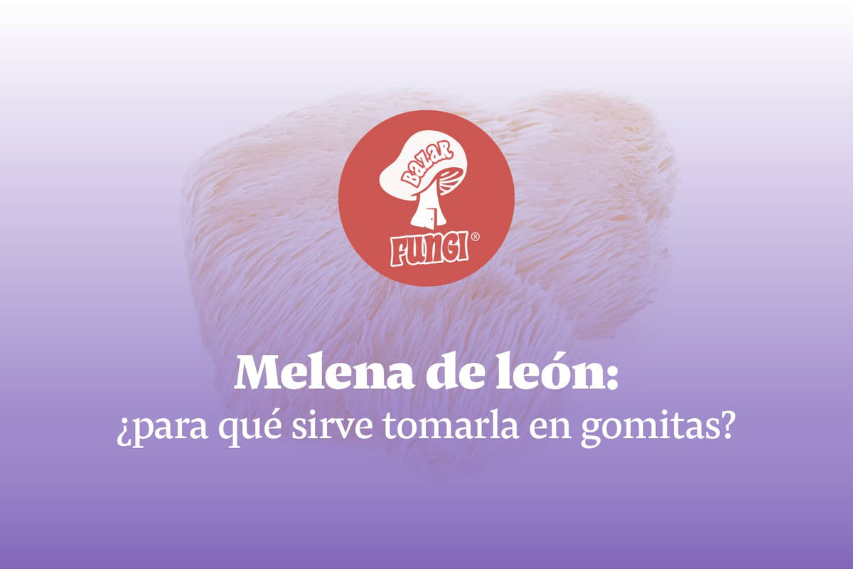 Melena de león: ¿para qué sirve tomarla en gomitas?