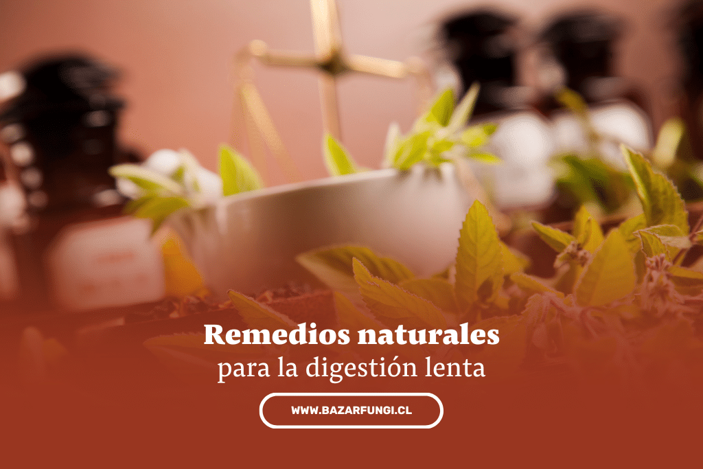 8 remedios para la digestión lenta