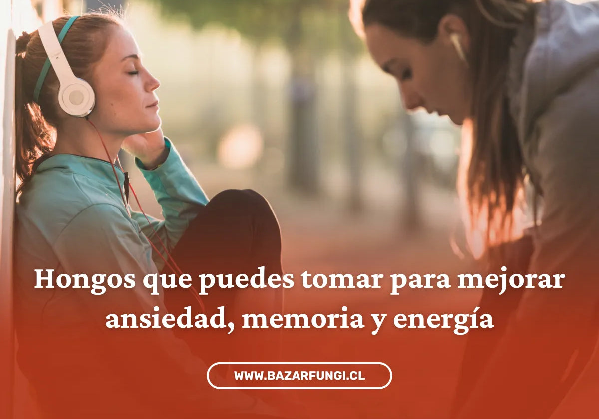 ¿Qué hongos tomar para la ansiedad, memoria y energía?