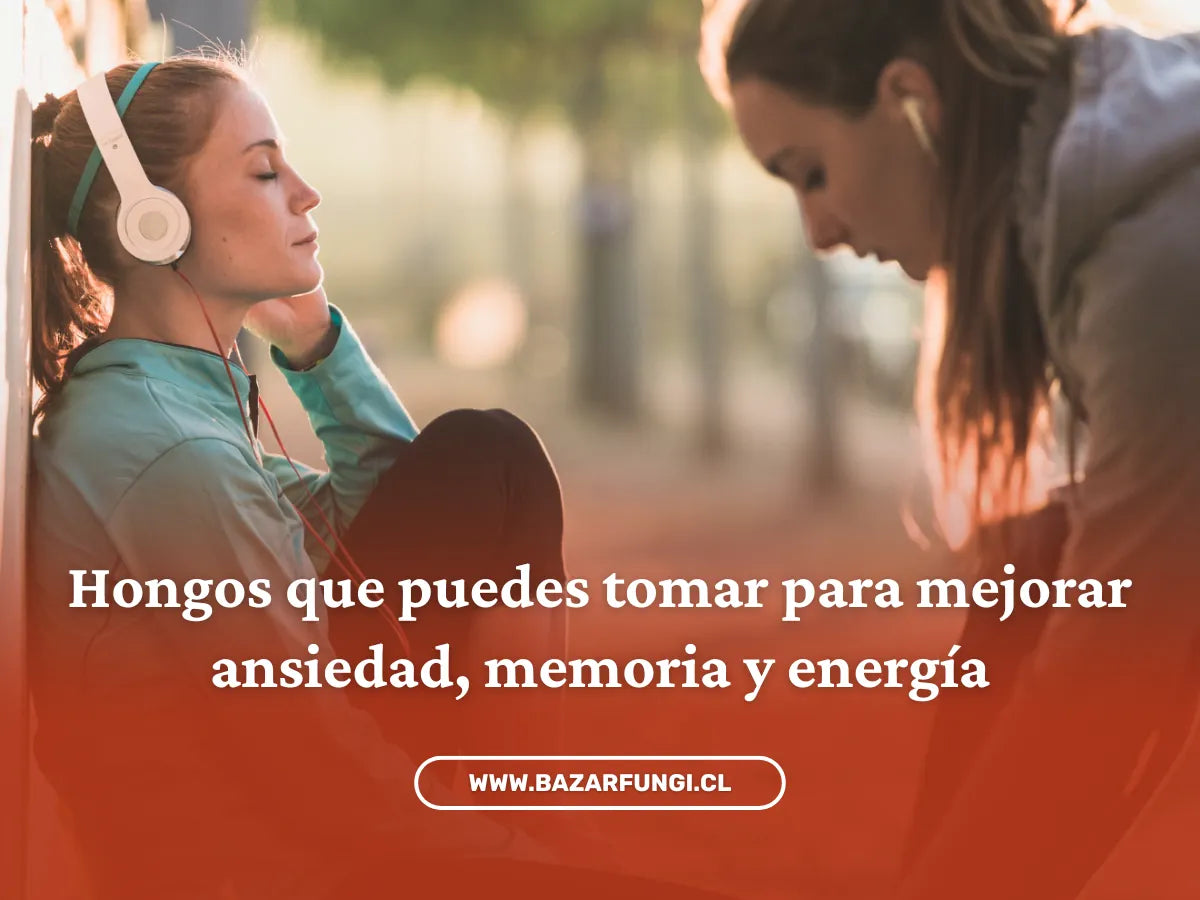 ¿Qué hongos tomar para la ansiedad, memoria y energía?