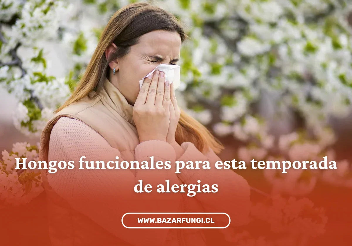 Hongos para alergias primaverales: cola de pavo y Agaricus Blazei