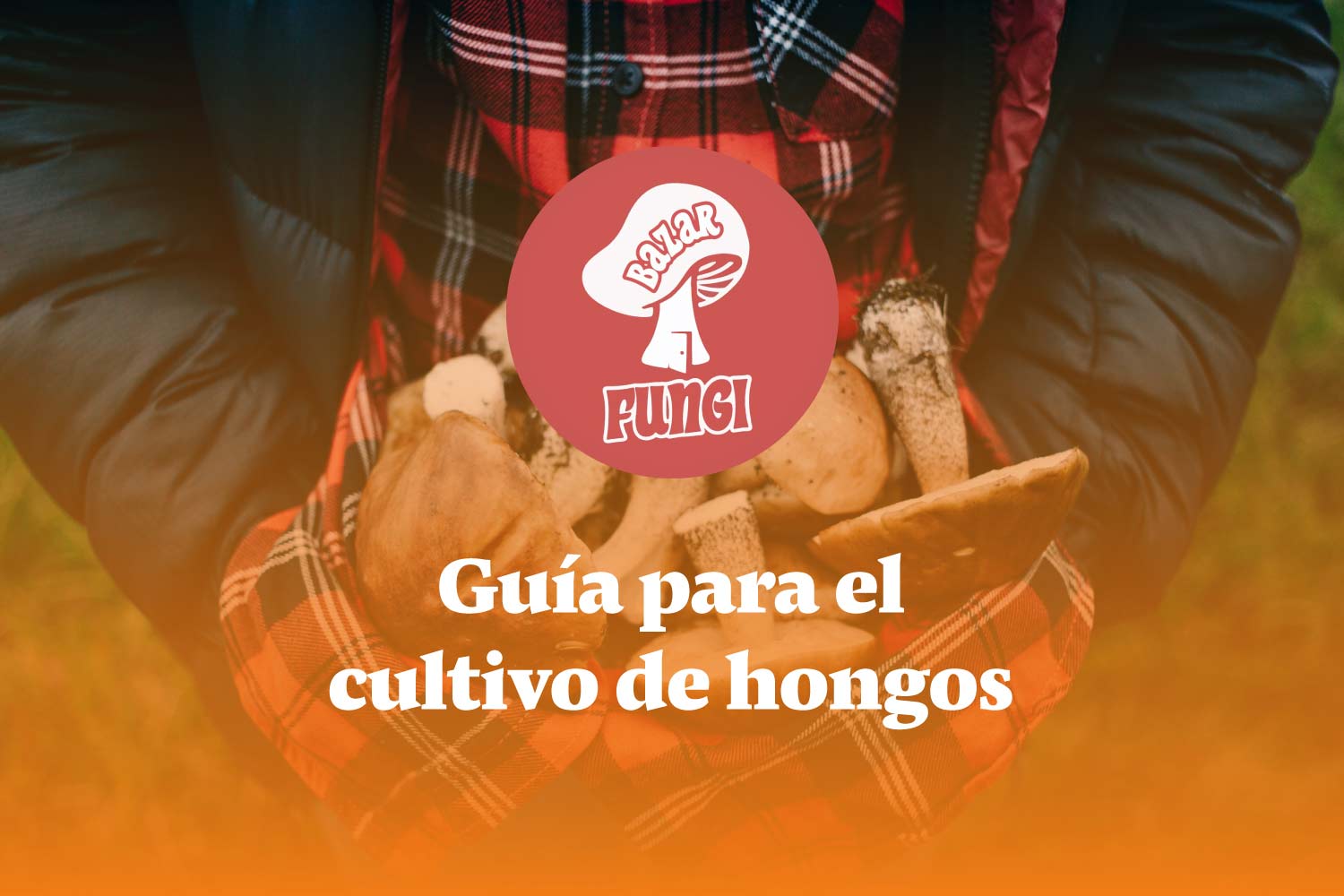 Guía para el cultivo de hongos