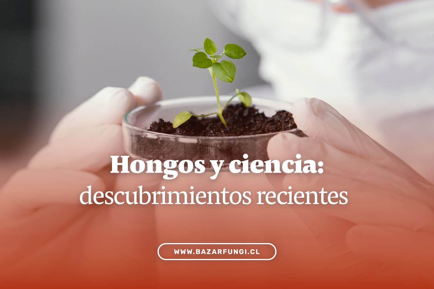 Hongos y ciencia: descubrimientos recientes