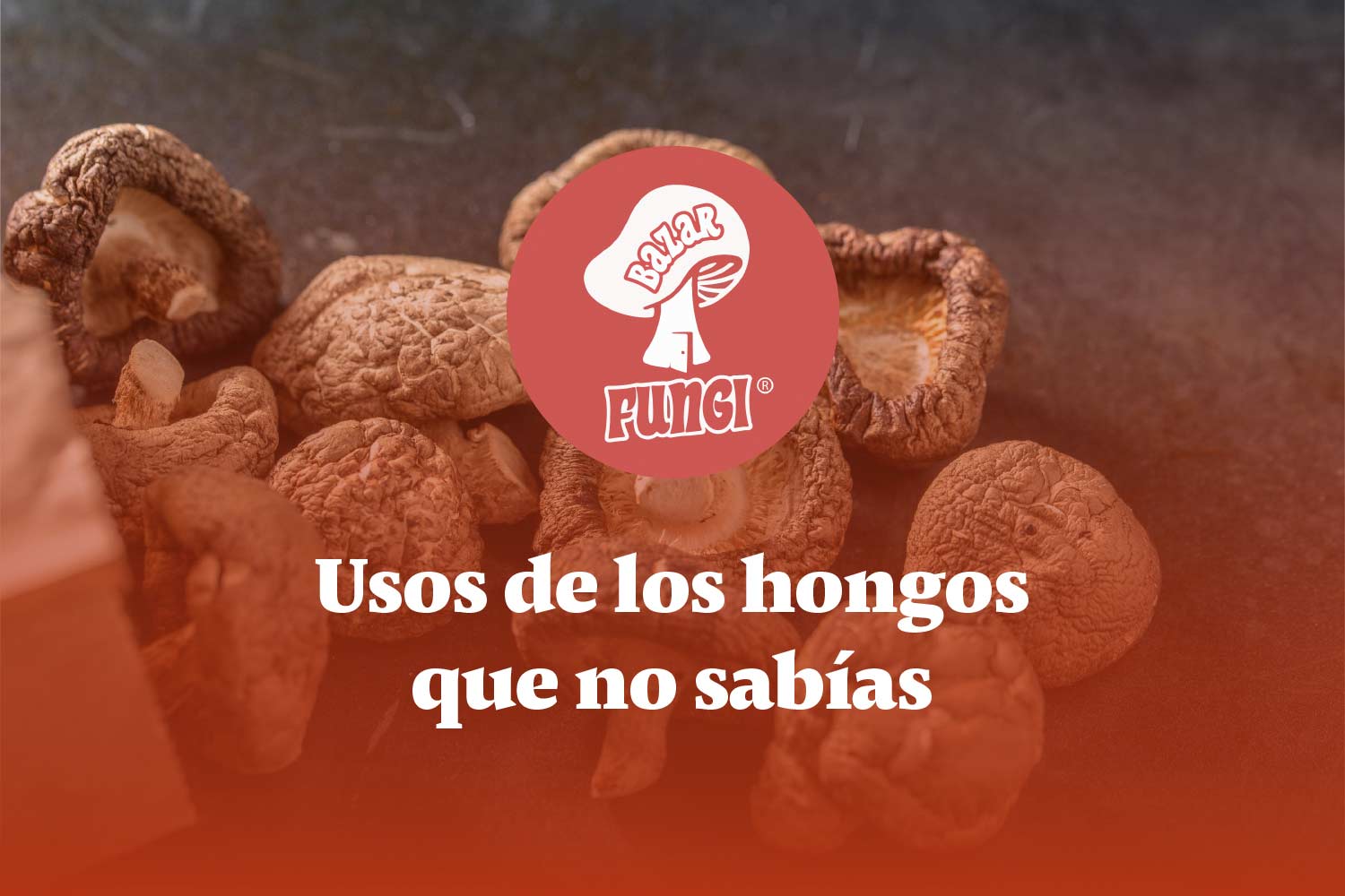 Usos de los hongos que te sorprenderán