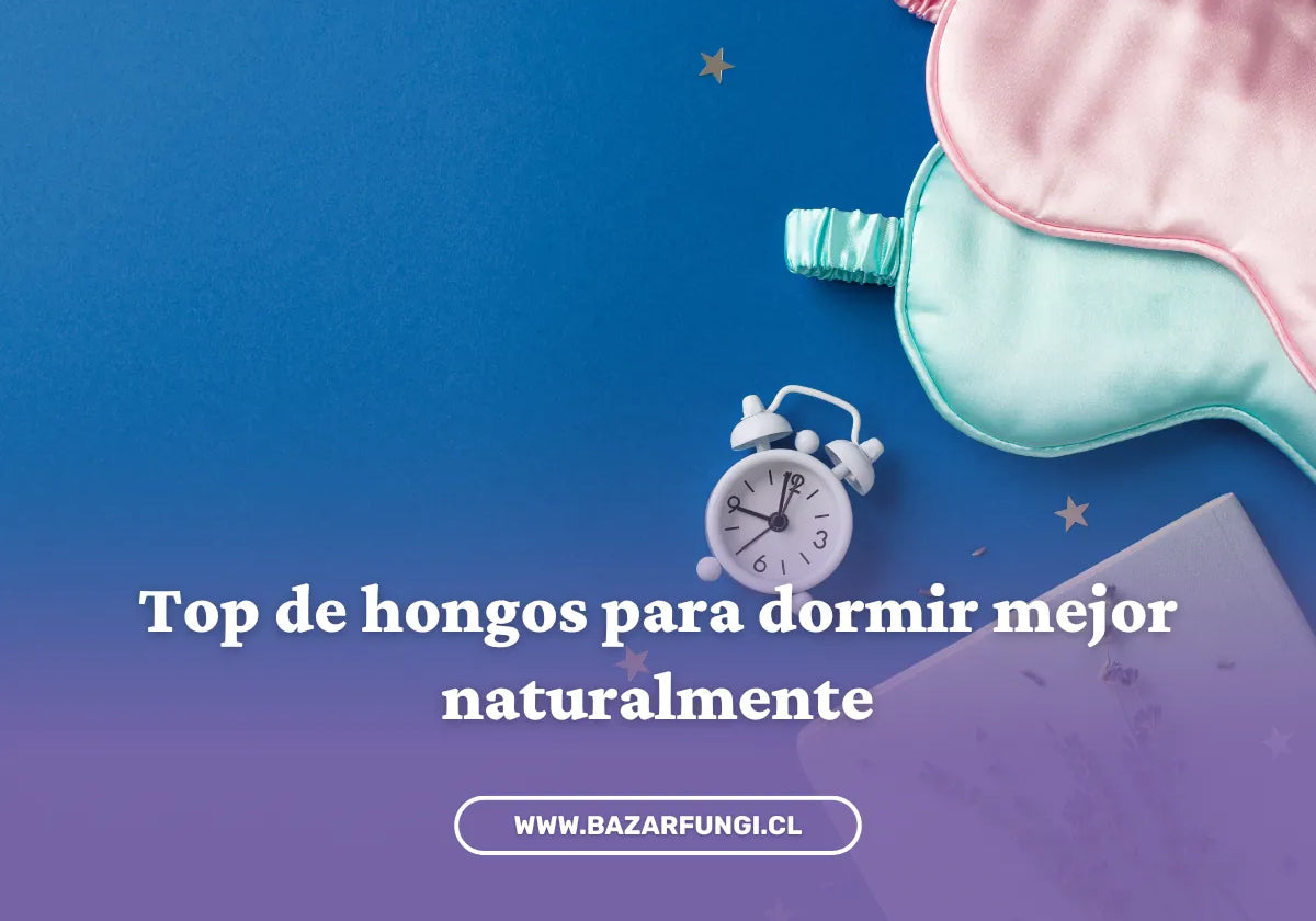Hongos para dormir: tipos y beneficios