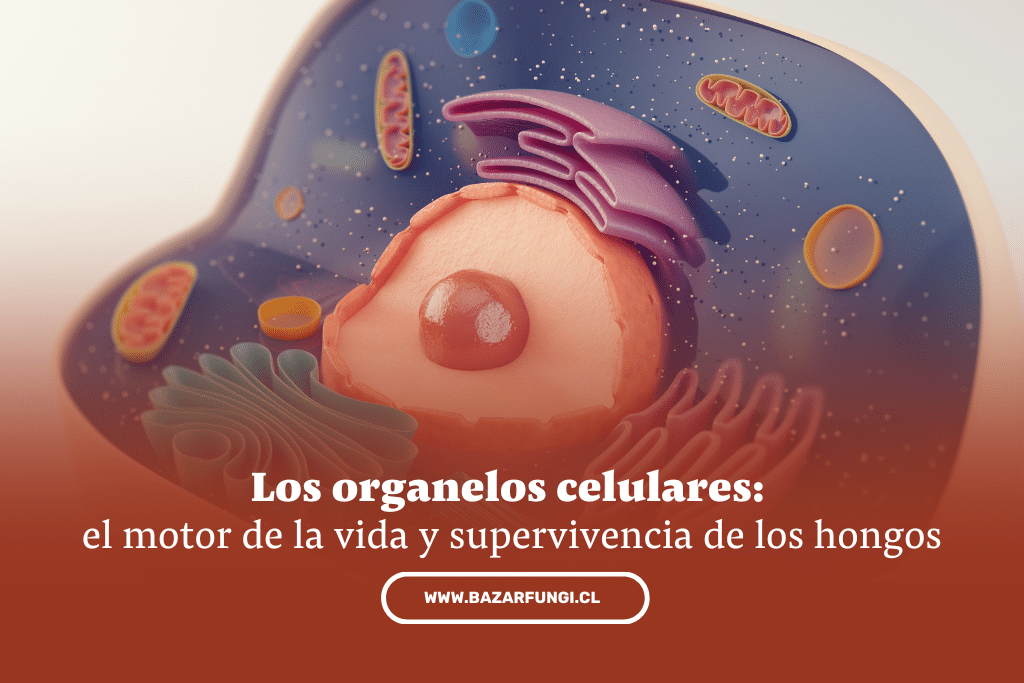 Los organelos celulares: el motor de la vida