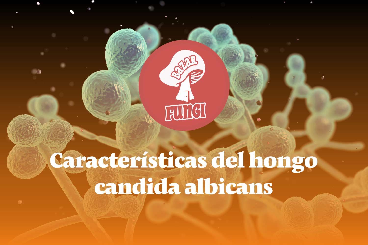 Conoce las características del hongo candida albicans