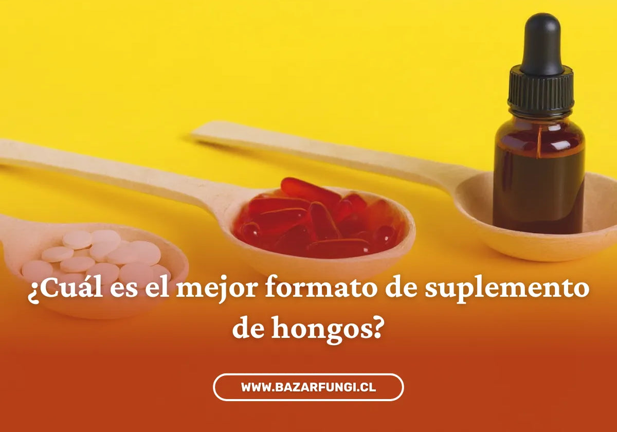 ¿Cuál es el mejor formato de suplemento de hongos?