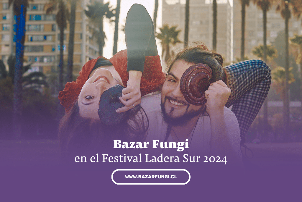 Bazar Fungi en el Festival Ladera Sur 2024