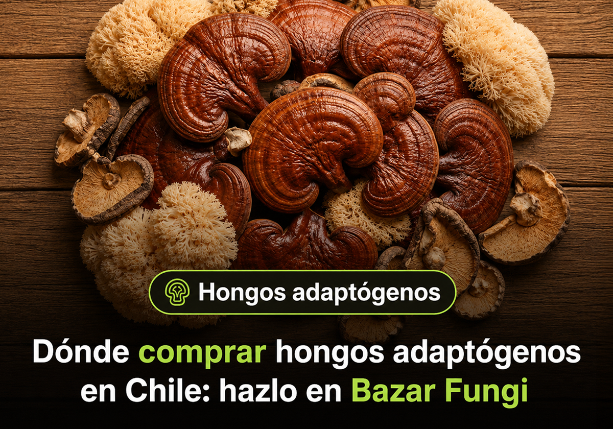 Dónde comprar hongos adaptógenos en Chile sin ingredientes de relleno