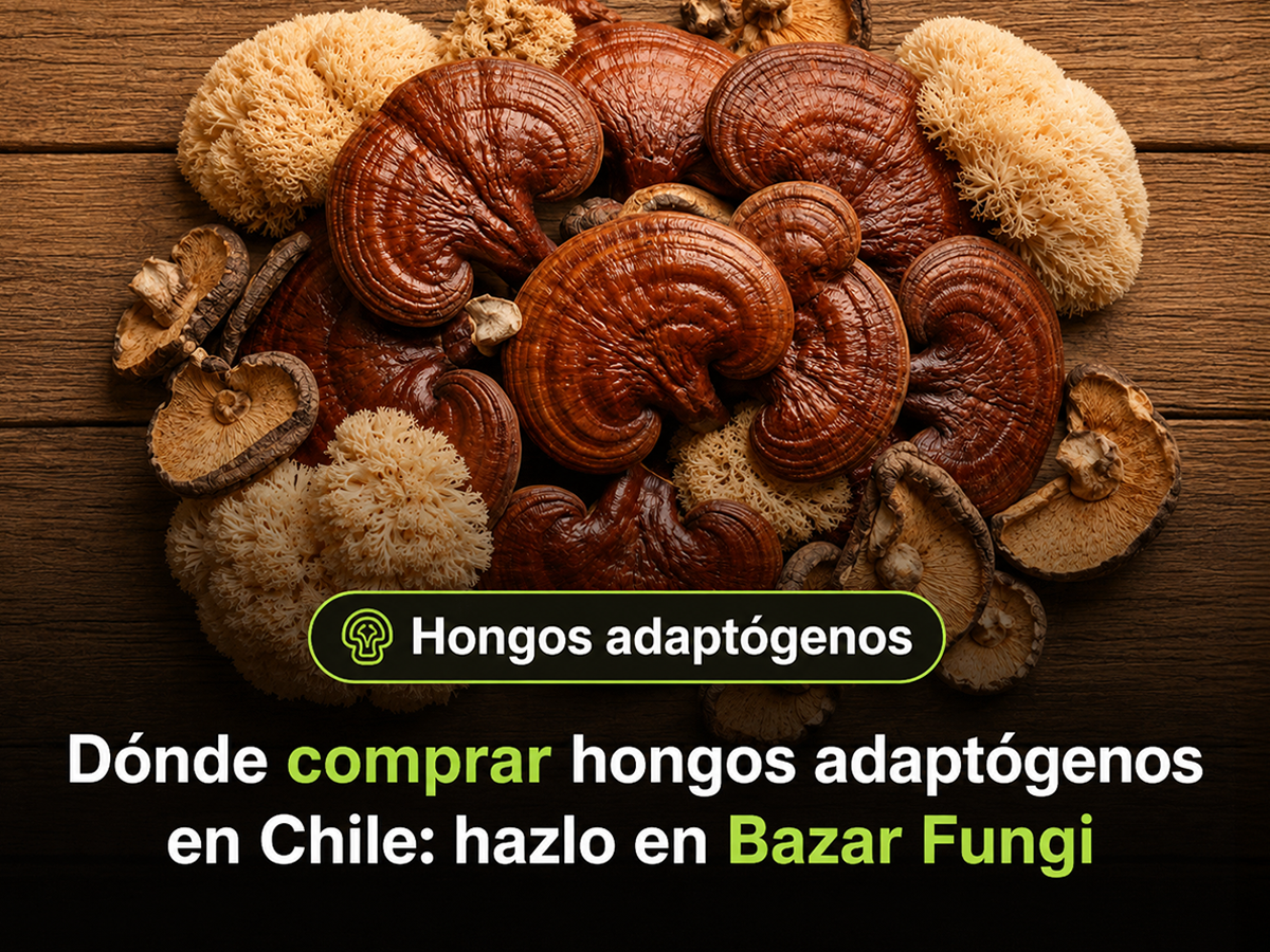 Dónde comprar hongos adaptógenos en Chile sin ingredientes de relleno