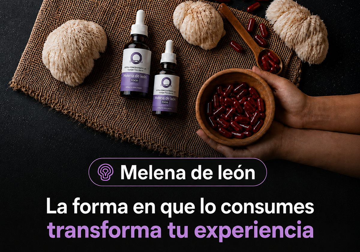 ¿Qué es mejor: Melena de león en gotas o cápsulas? Guía para elegir según tu estilo de vida y necesidad