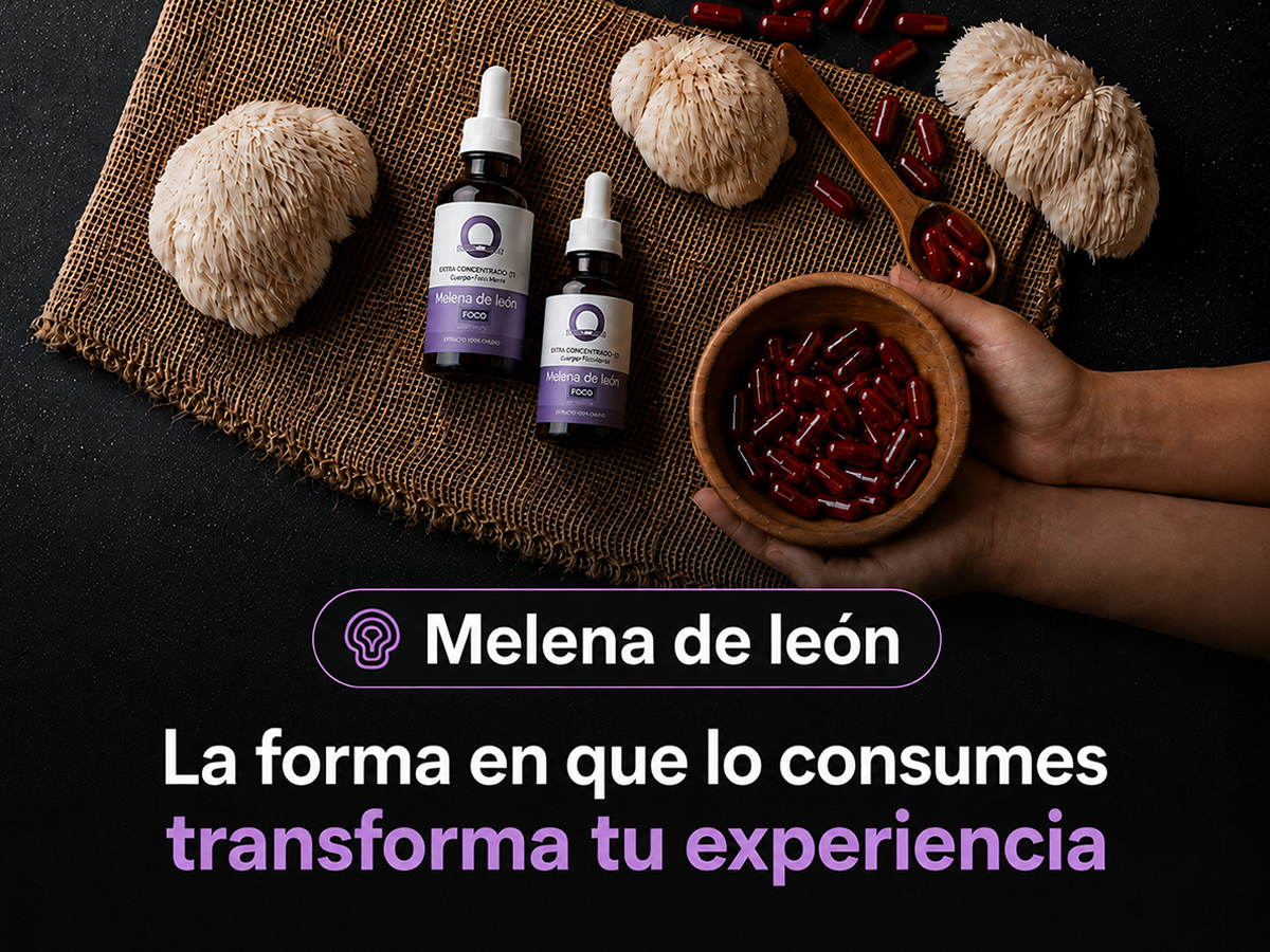 ¿Qué es mejor: Melena de león en gotas o cápsulas? Guía para elegir según tu estilo de vida y necesidad